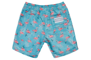 Boys - Green and Pink Flamingo Print Matching Swim Shorts